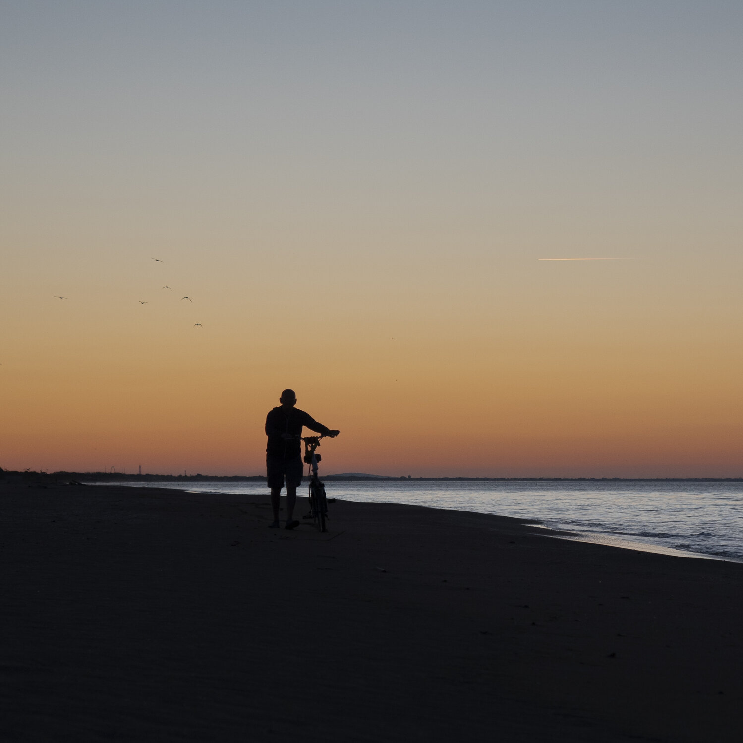 Photo #13857242