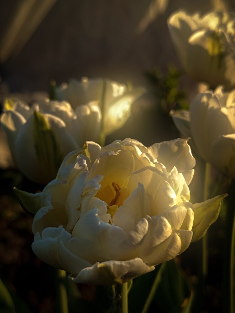Photograph by Ольга Кунакова