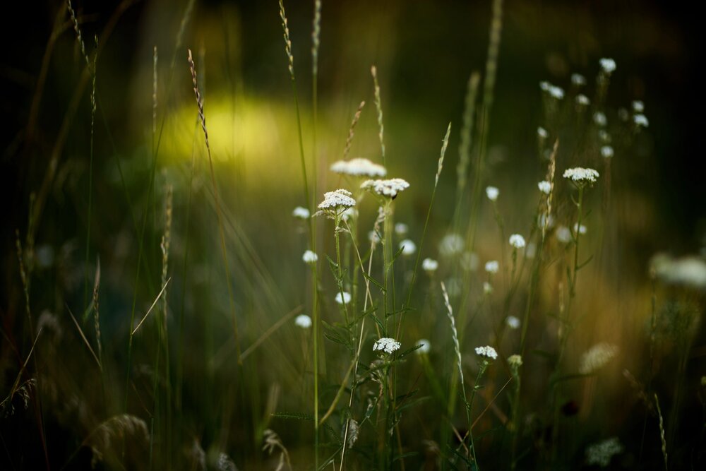 Photograph by Виталий Воронин