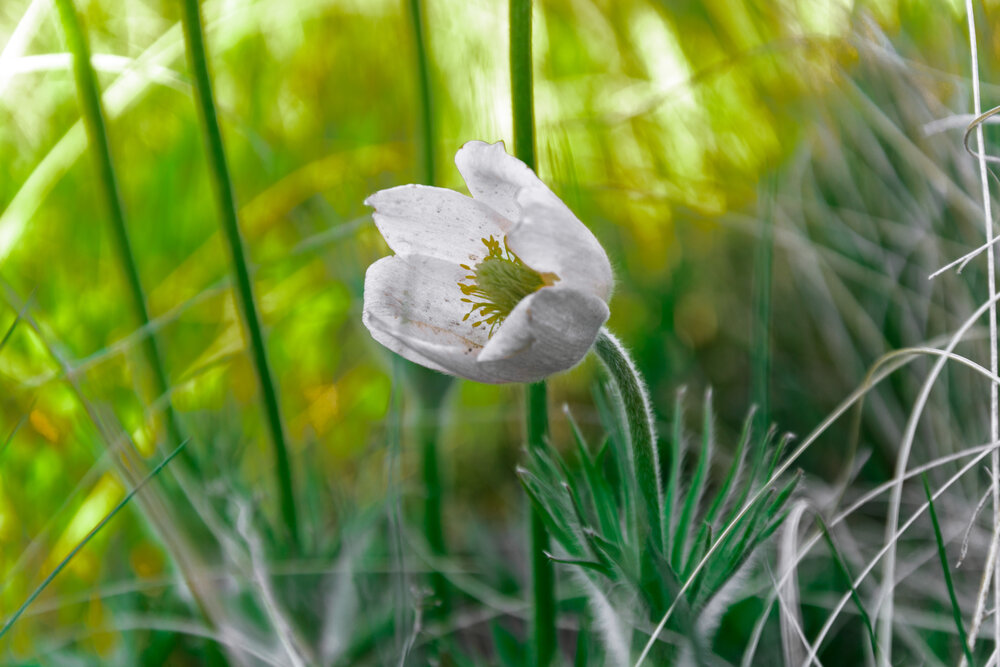 Photograph by Ольга Новикова