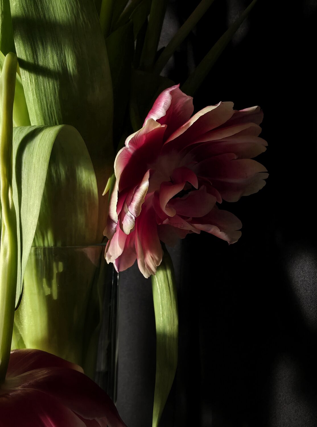 Photo #13857312