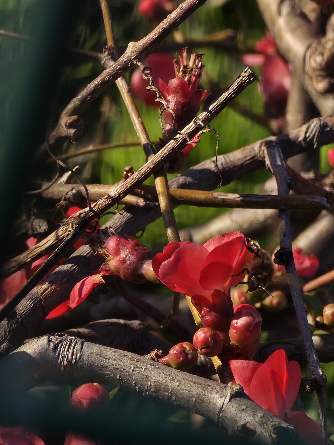 Photo #13857316