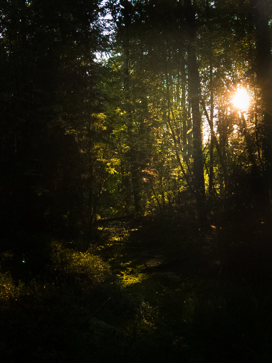 Photo #13857400