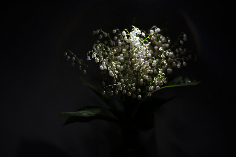 Photograph by Elena Savchuk