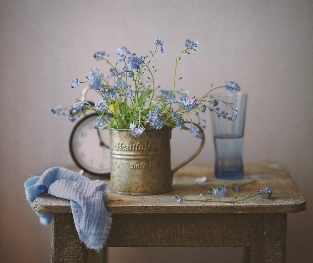 Photograph by Liliya Rodionova