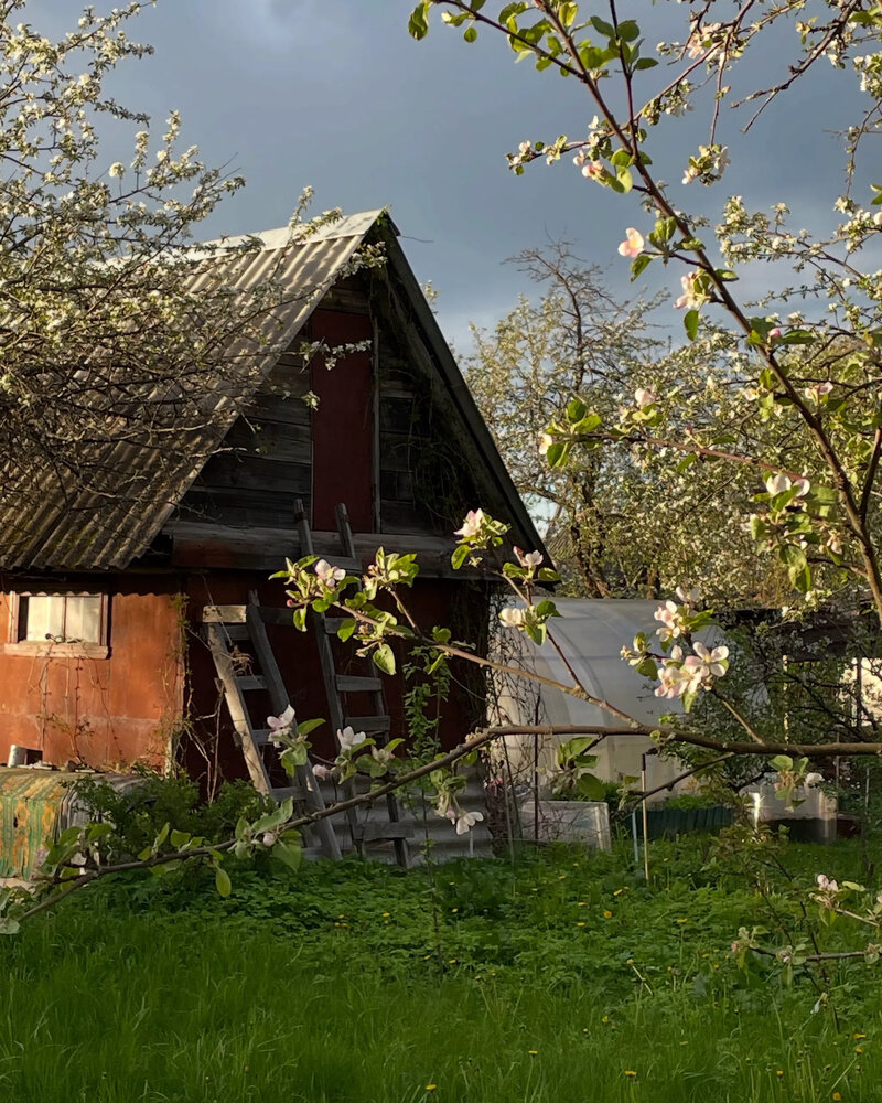 Photograph by Марина Докадина