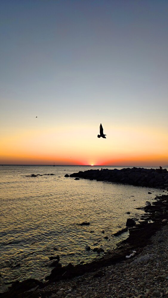 Photograph by Антон Корольков