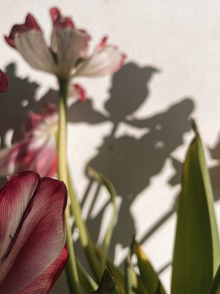 Photograph by Ирина Сафонова