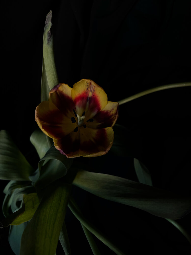 Photograph by Ирина Сафонова
