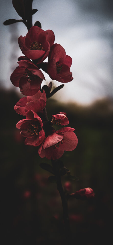 Photograph by Артем Сурганов