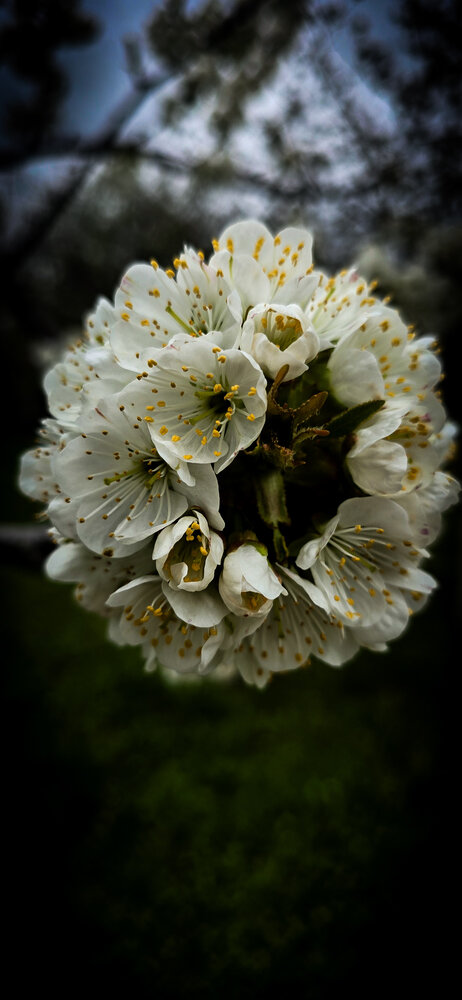 Photograph by Артем Сурганов