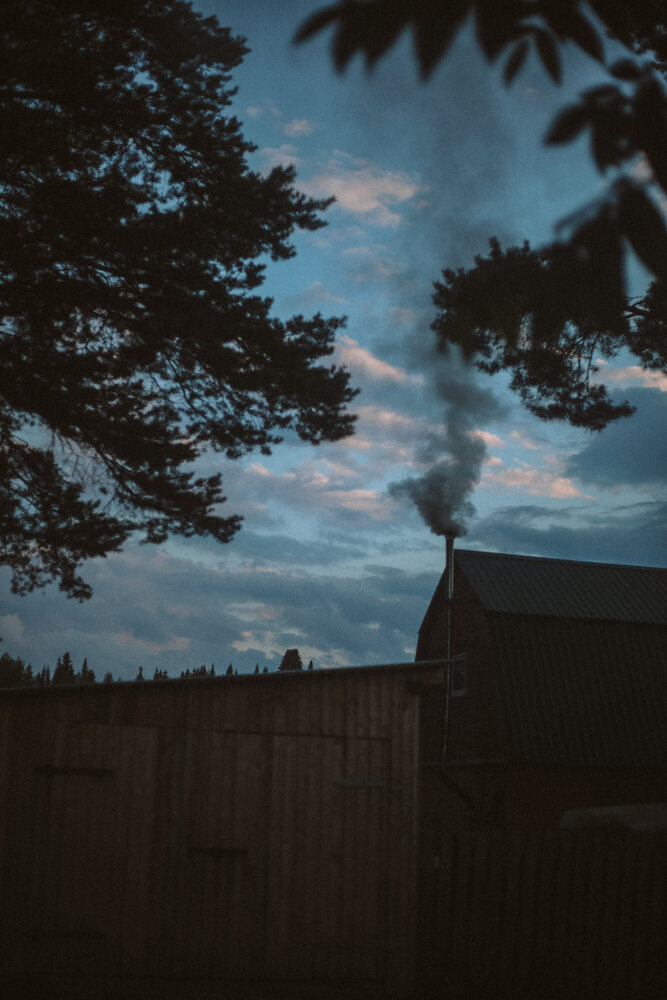 Photograph by Полина Шулятьева