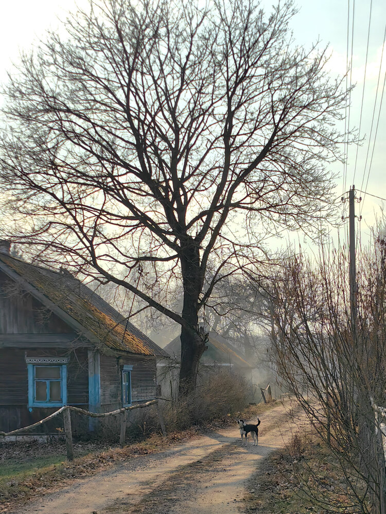 Фотография автора Ольга Панасюк
