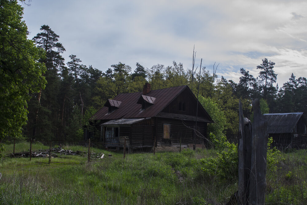 Photograph by Никита Михайлов