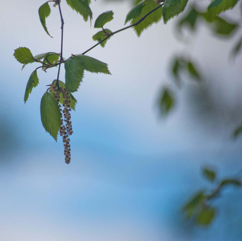 Photograph by Михаил Плецкий