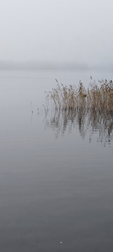 Photo #13857639