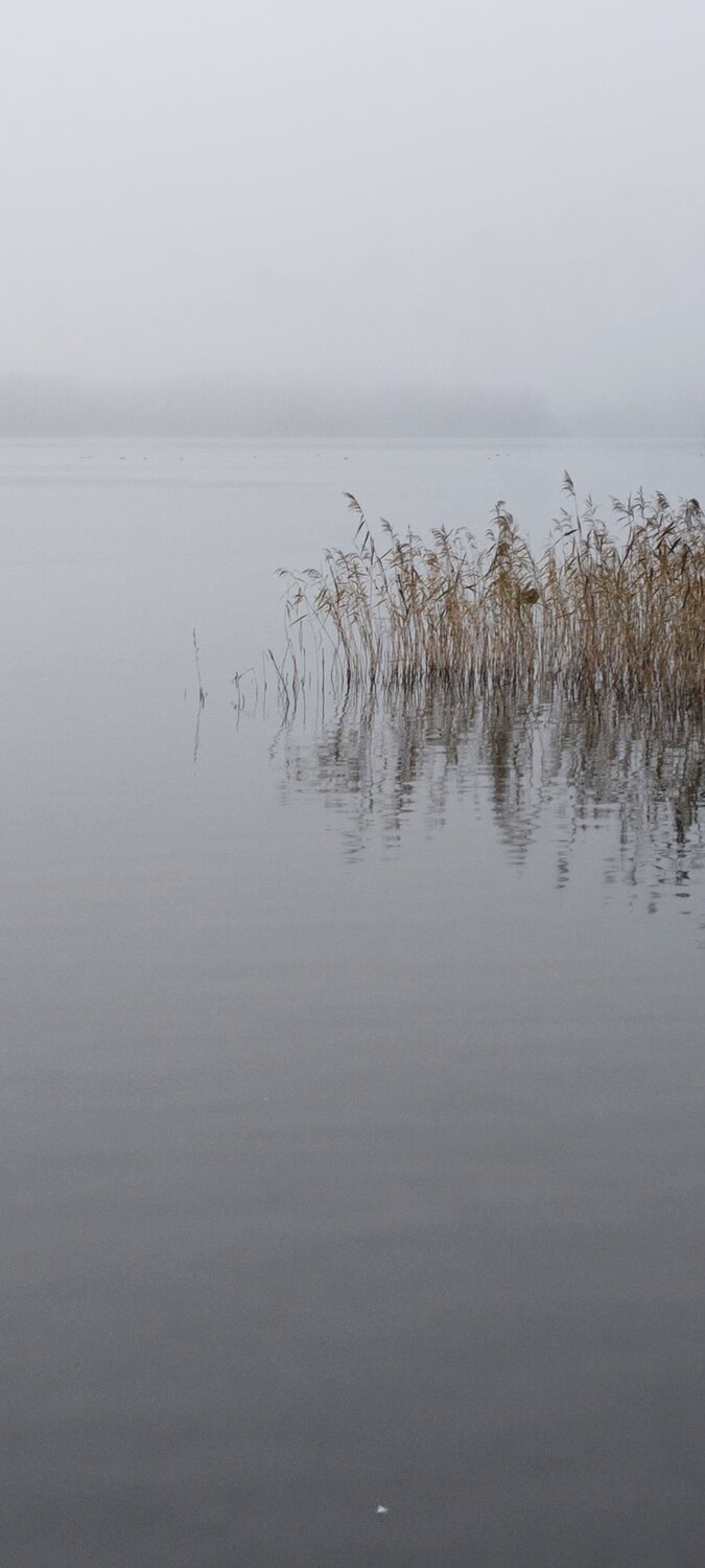 Photo #13857639