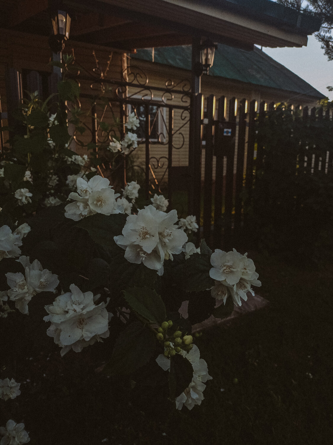 Photo #13857658