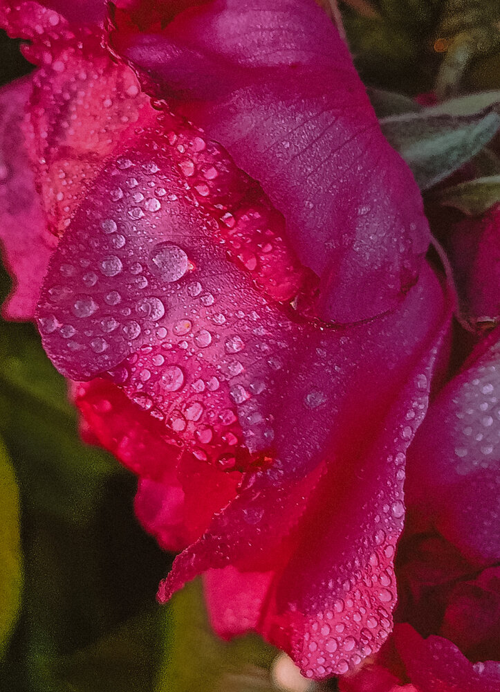 Photograph by Полина Шулятьева