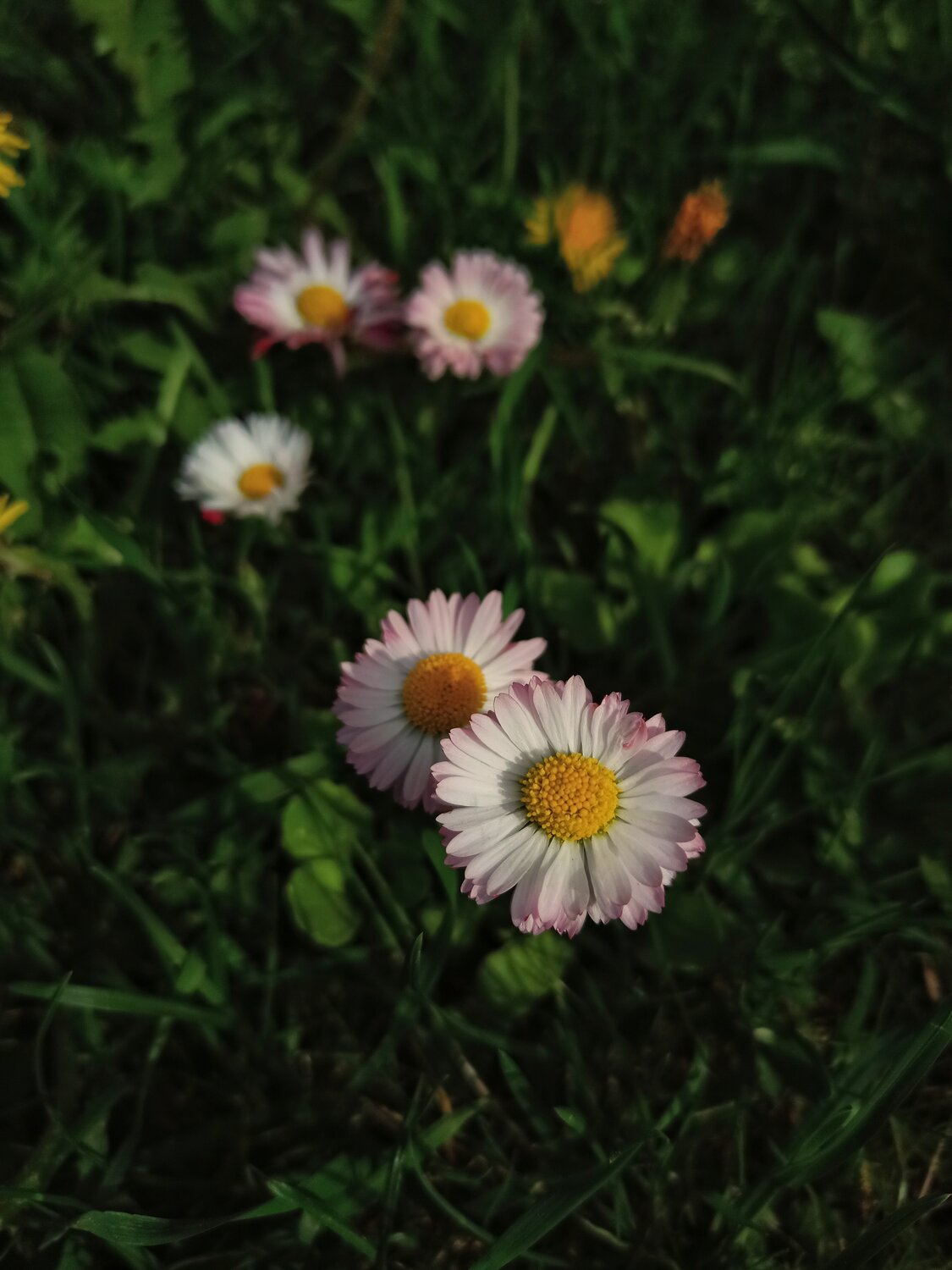 Photo #13857693
