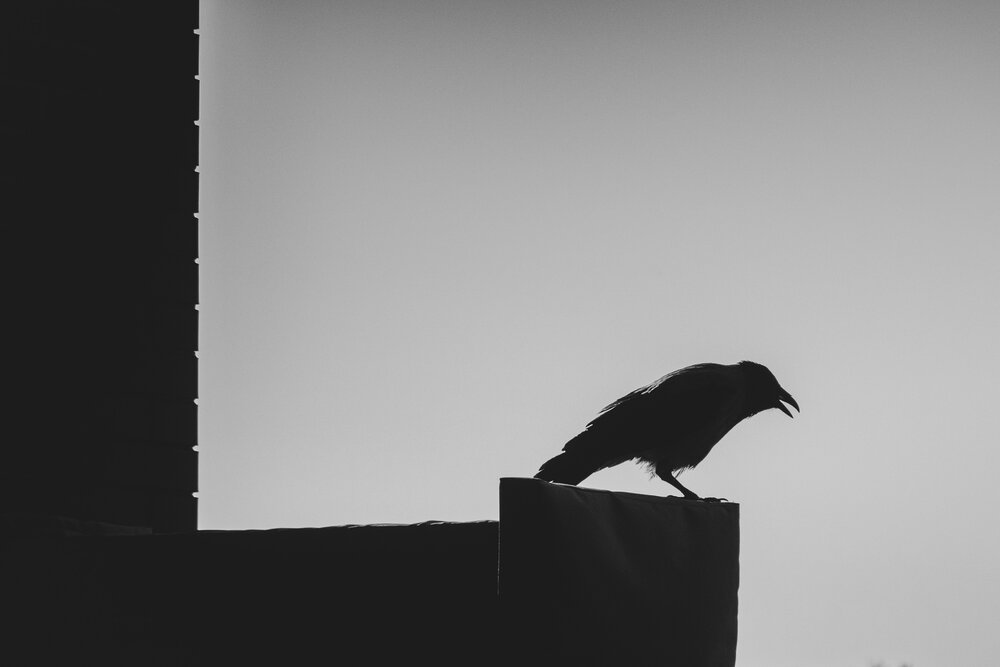 Photograph by Виталий Маслов