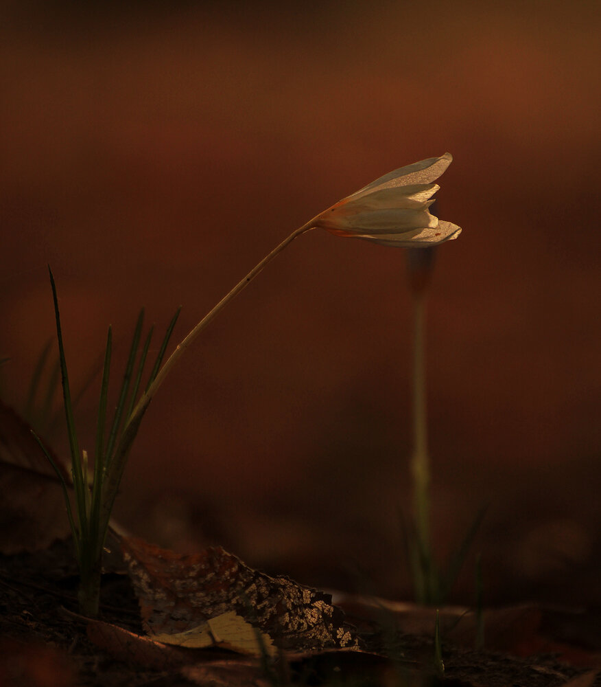 Photograph by hasan sorena jouri