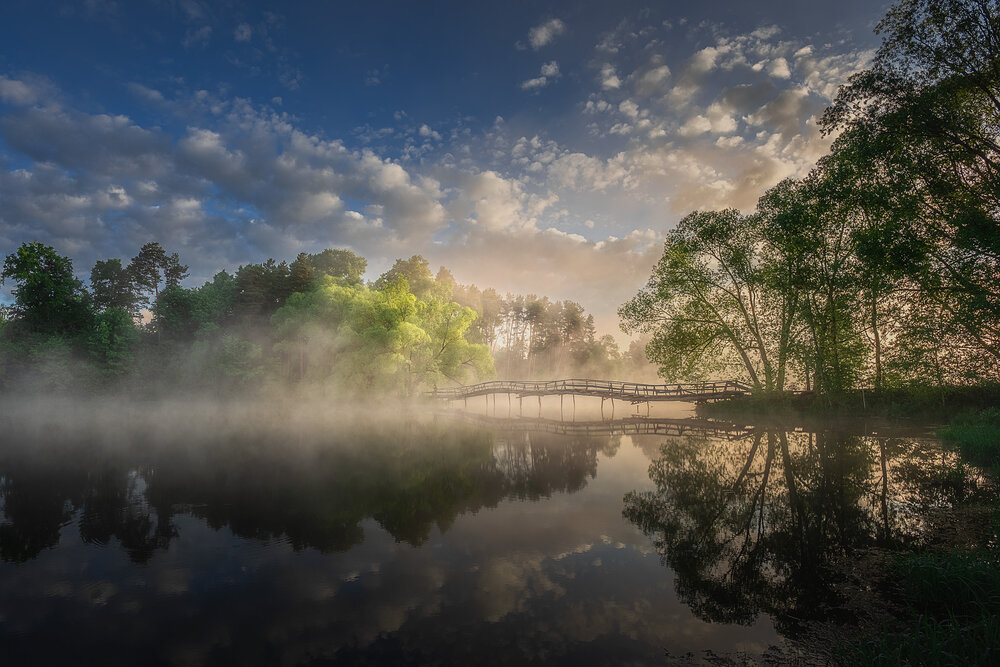 Photograph by Михаил Загрядский
