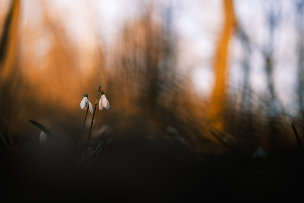 Photograph by Veronika Biró