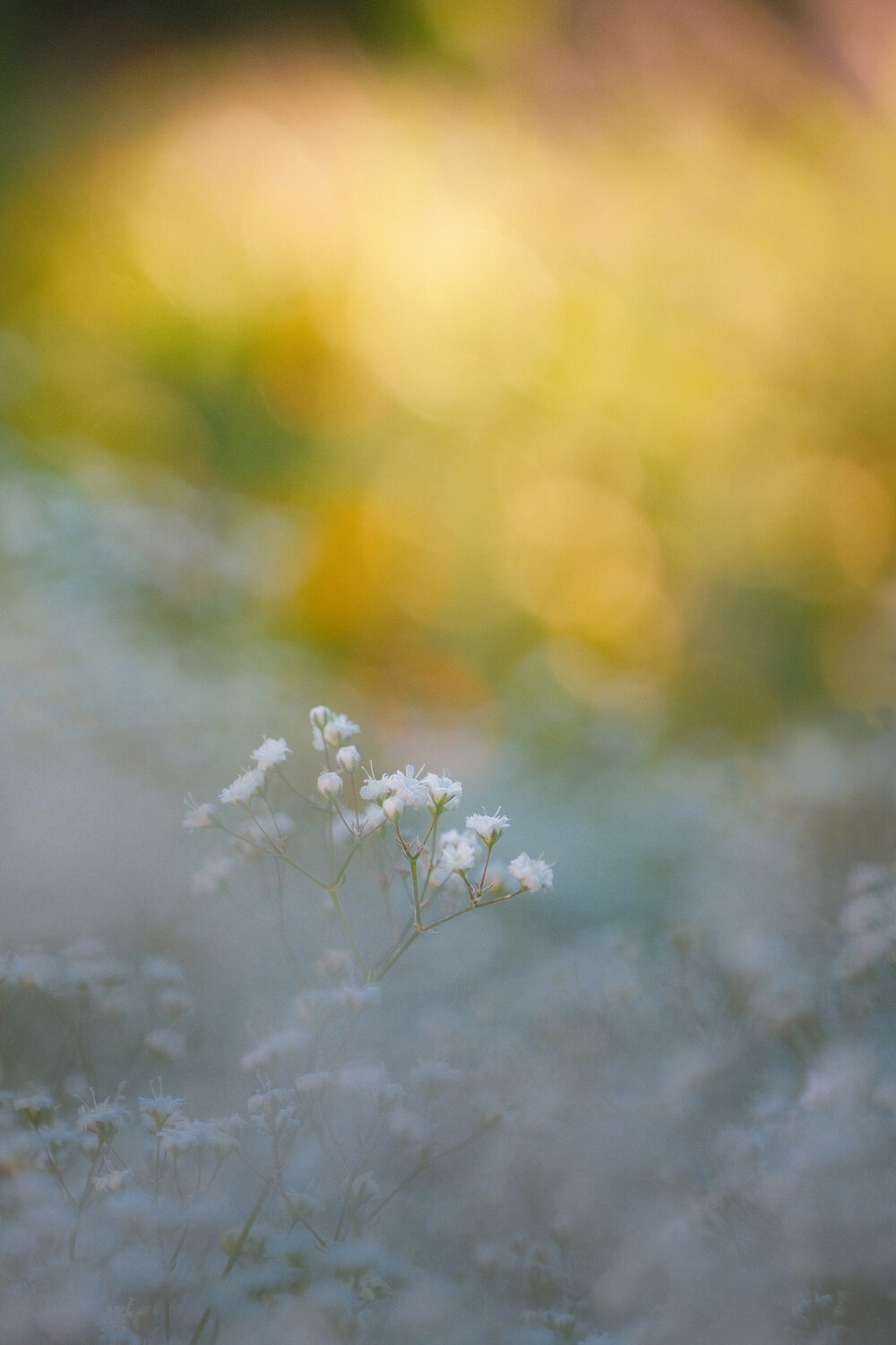 Photo #13857799
