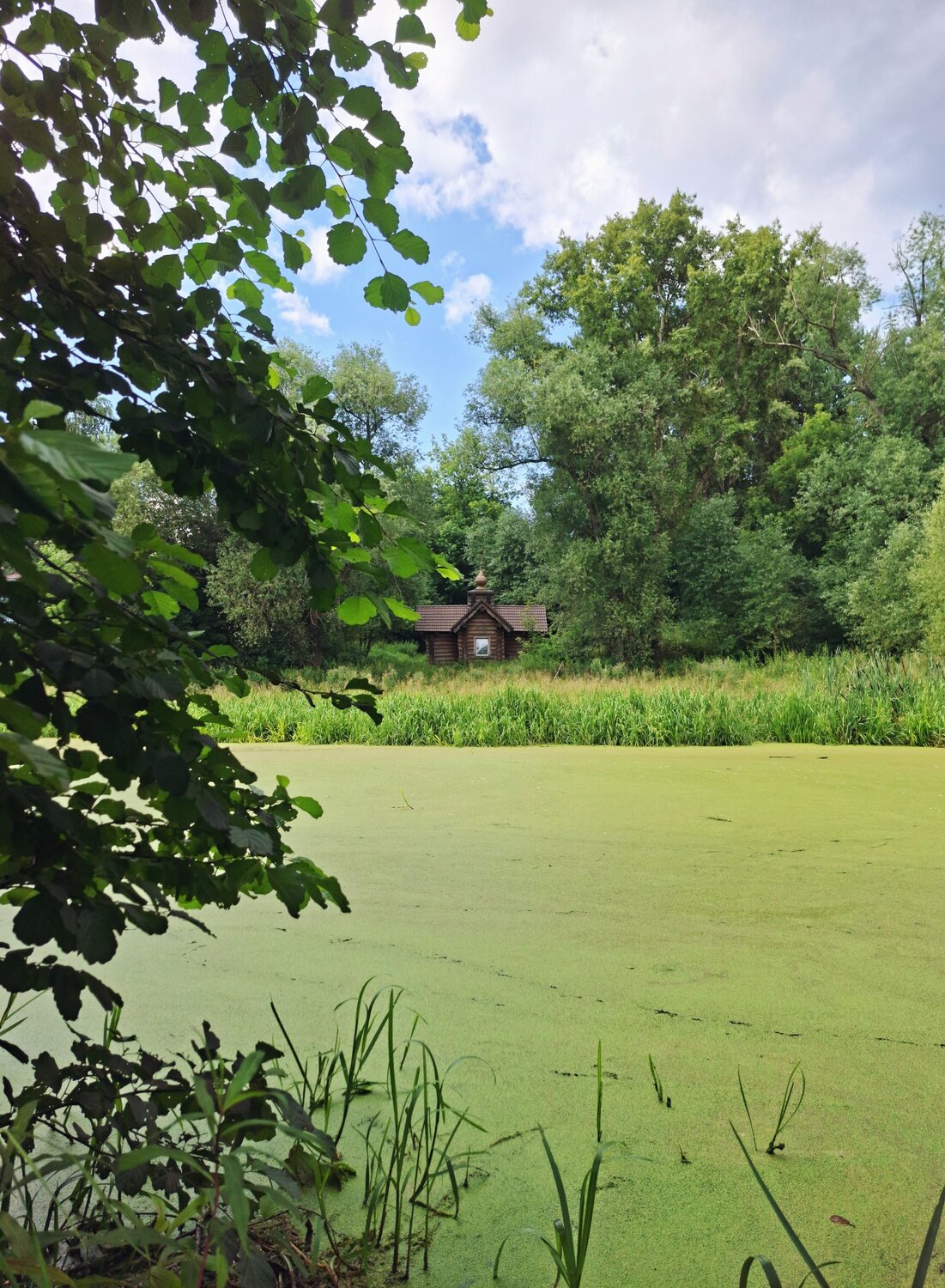 Photo #13857802