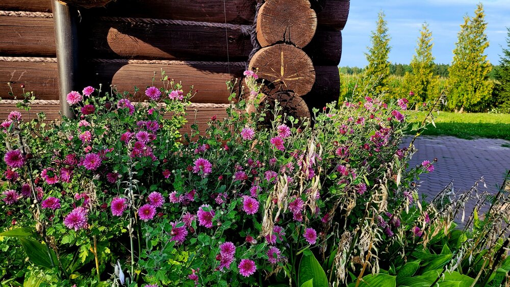 Photograph by Александра Карпикова