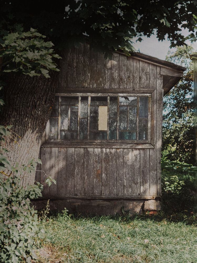 Photograph by Алина