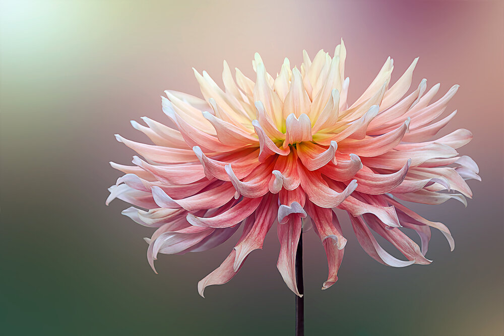 Photograph by Мила Миронова