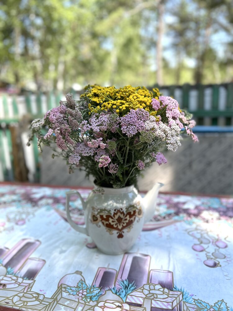 Photograph by Анар Амирова