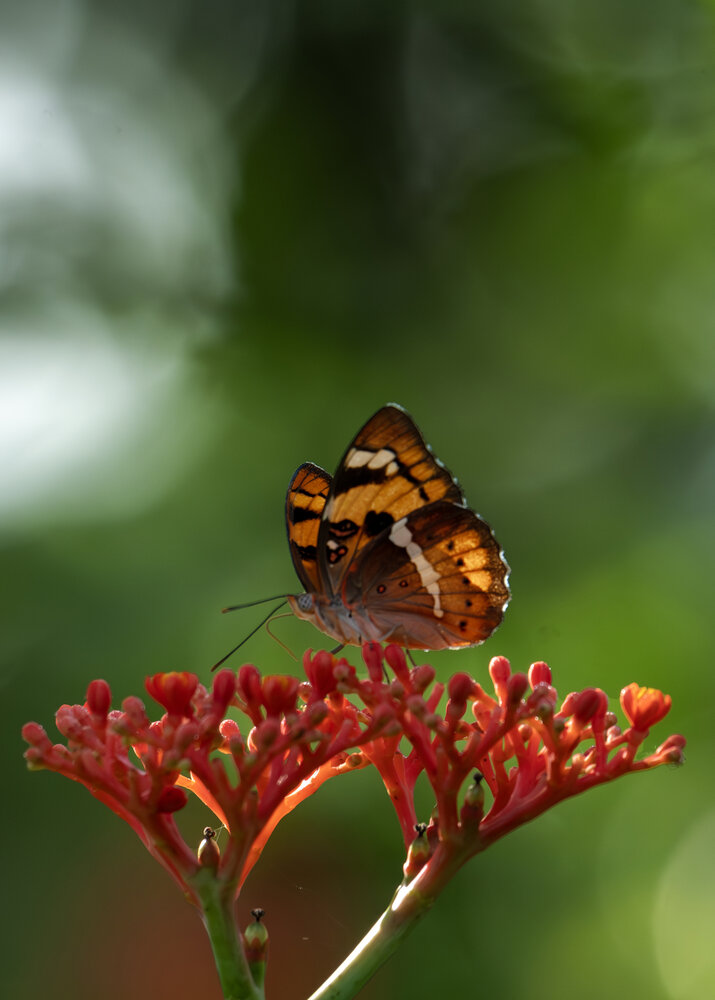 Photograph by AmanPreet kaur saluja