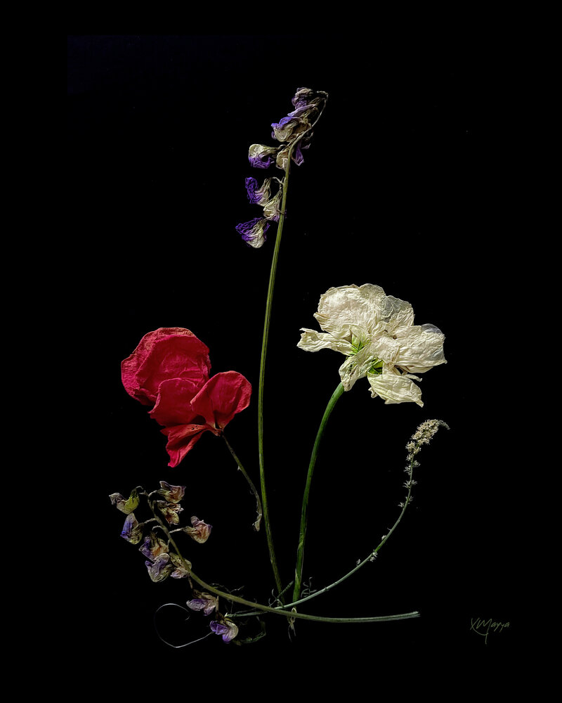 Photograph by Mayya Khrolovich