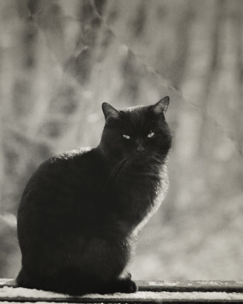 Photograph by Сергей Кошин