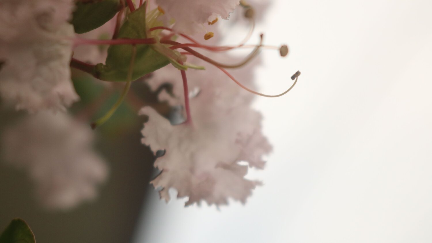 Photo #13858038