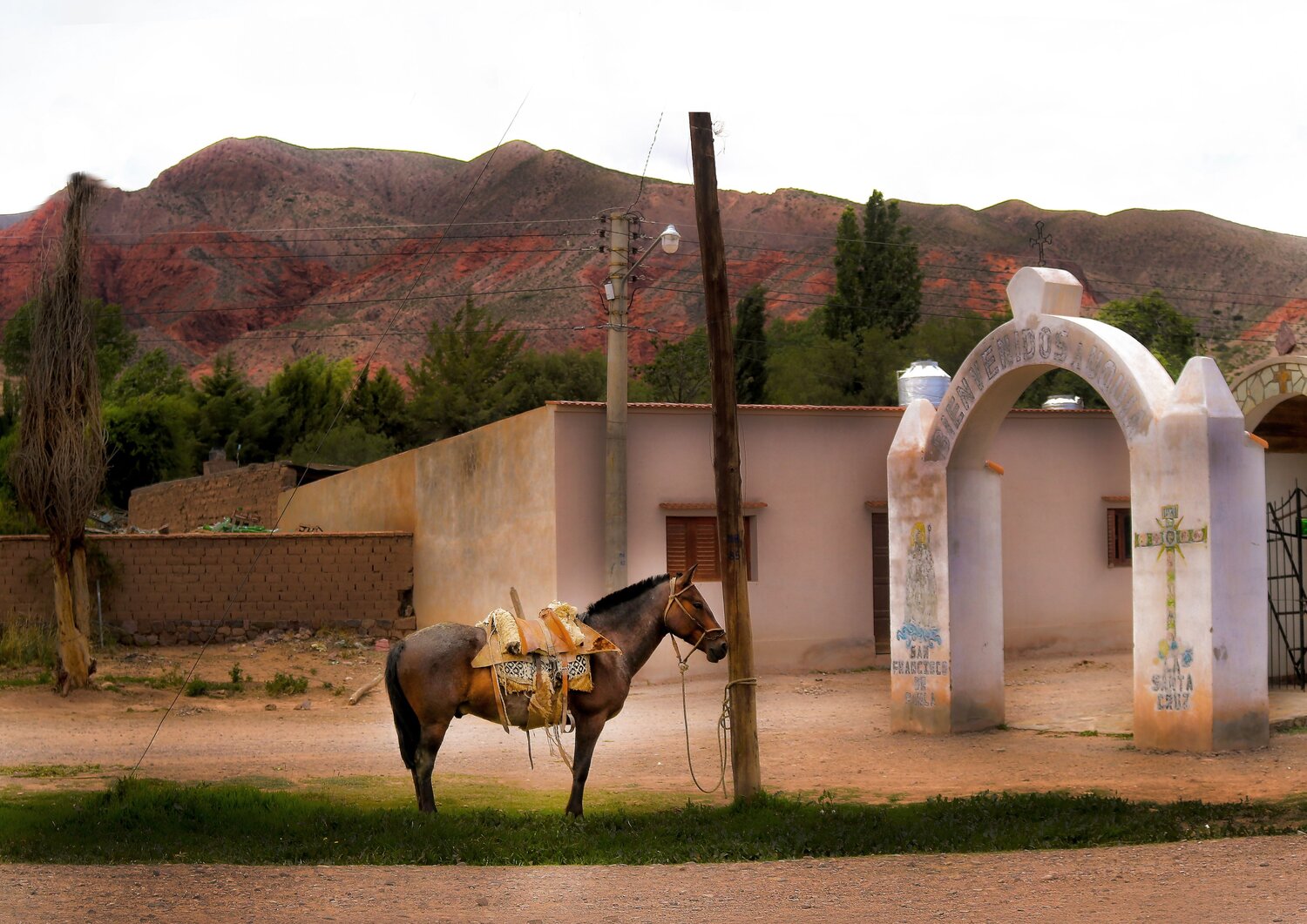 Photo #13858046