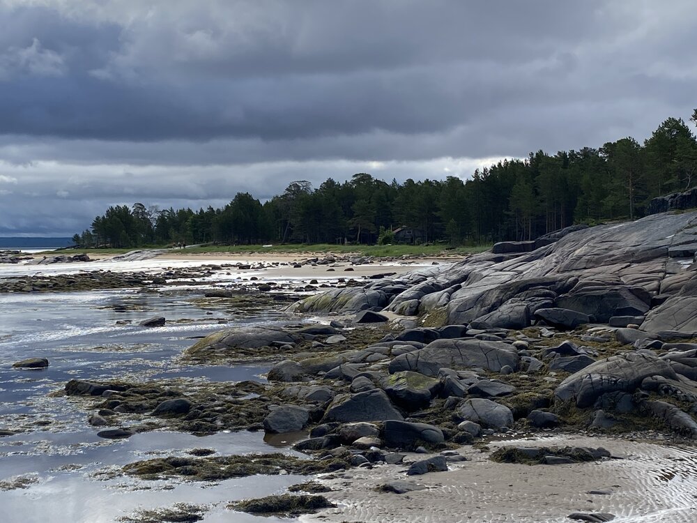 Nordic beach
