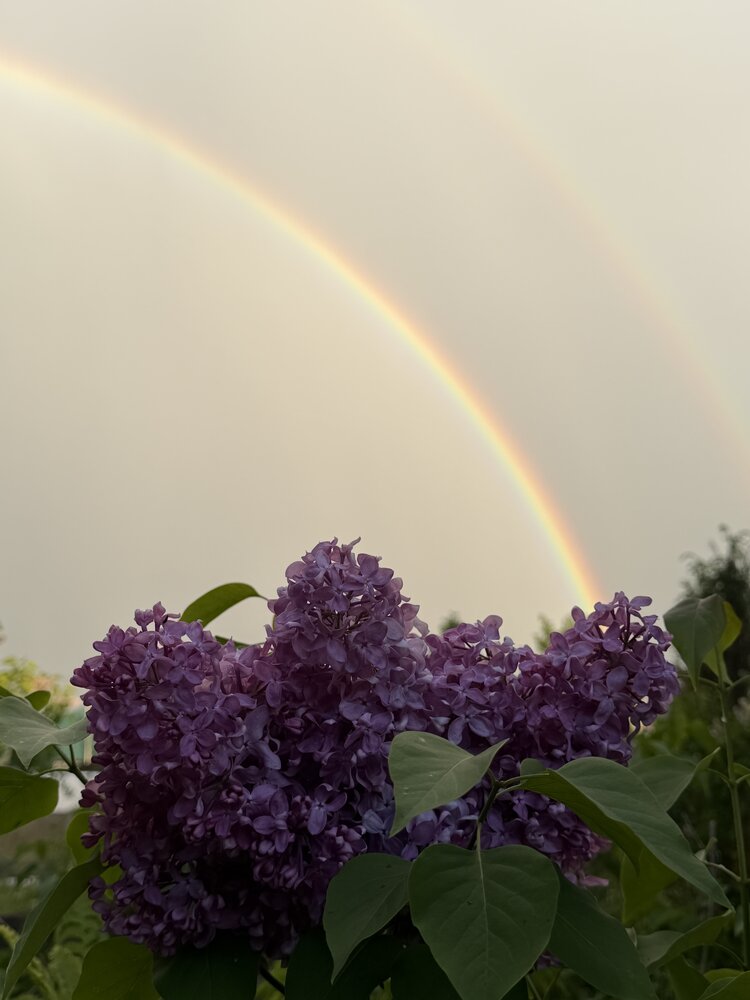 Photograph by Ксения Березкина
