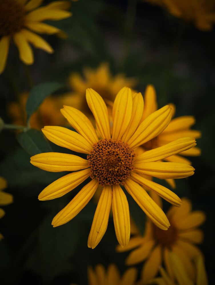 Photograph by Вячеслав Помазан