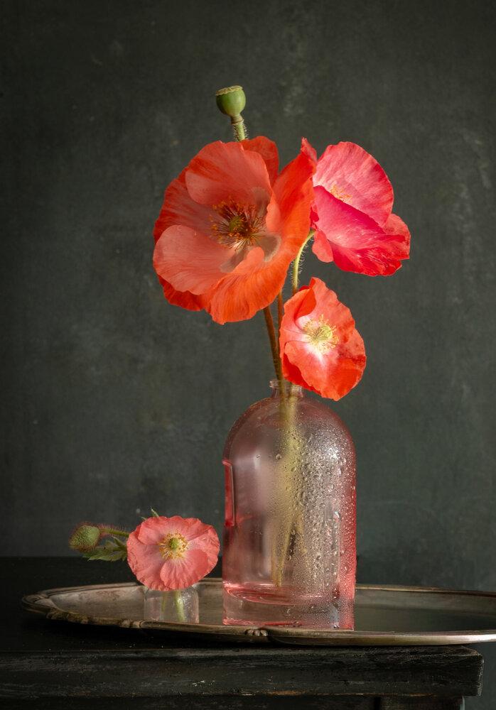 Photograph by Milla Walmus