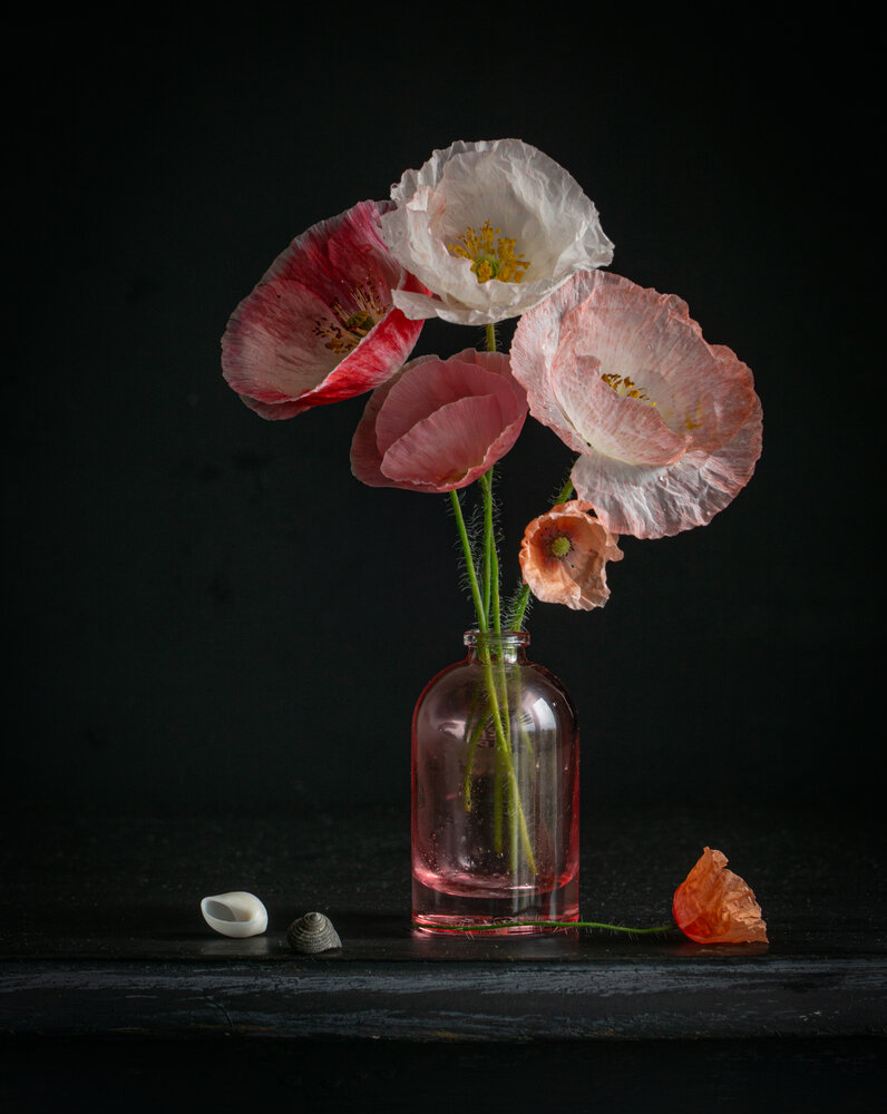 Photograph by Milla Walmus