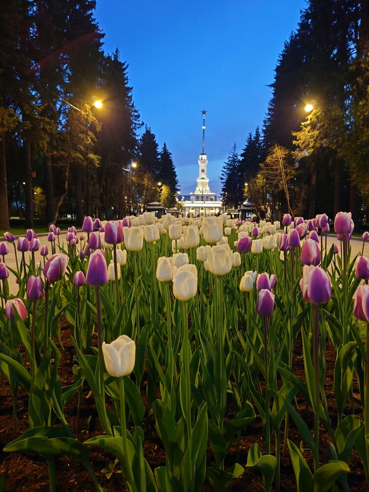 Photograph by Алексей Карчевский