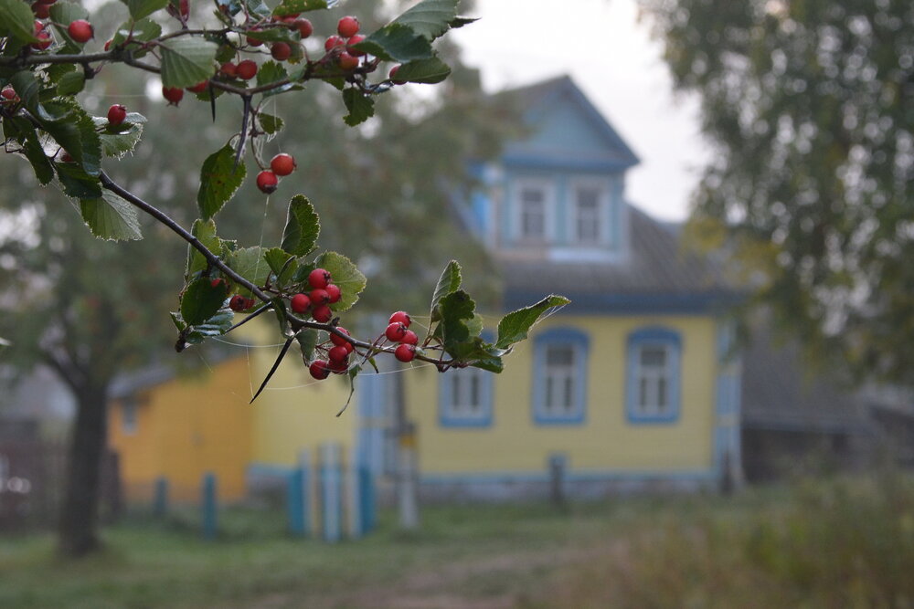 Photograph by Риганов Борис