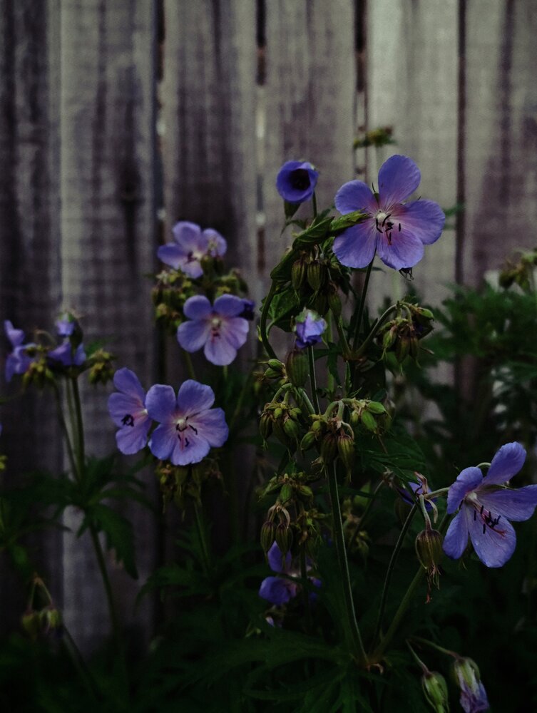Photograph by Наталья Смирнова