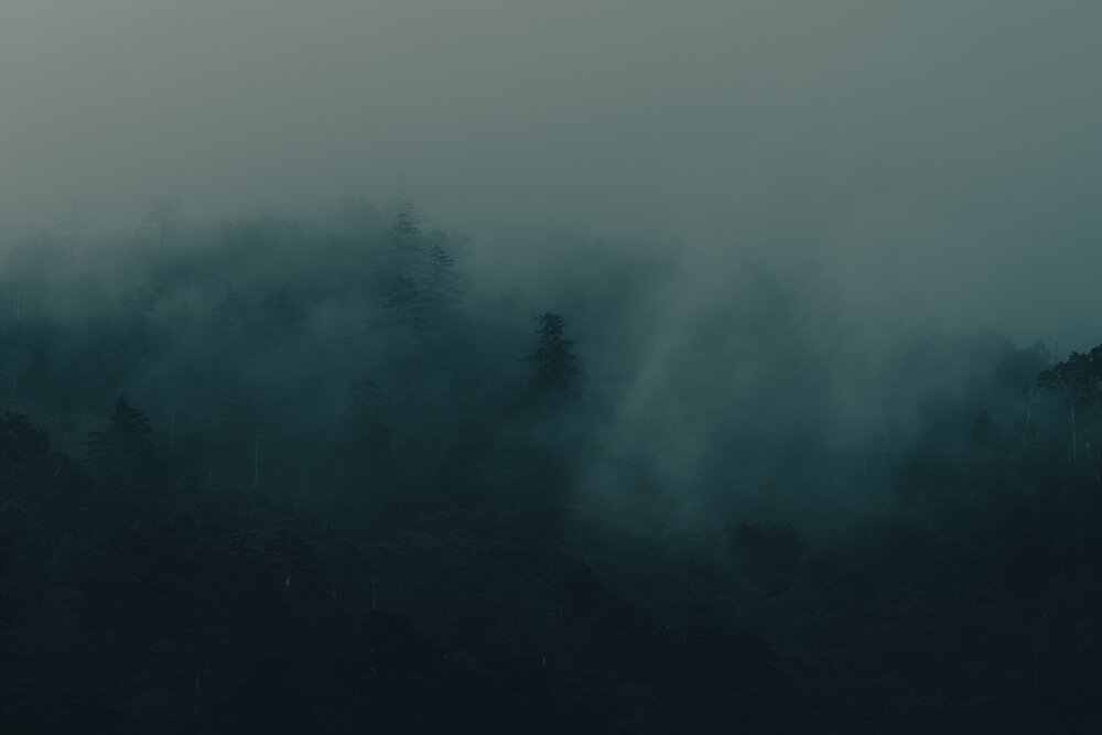 Фотография автора SHIN