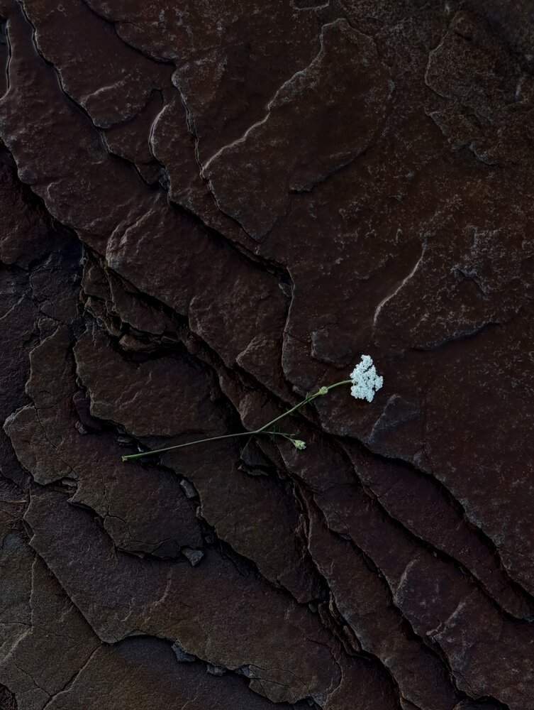 Photograph by Наталья Смирнова