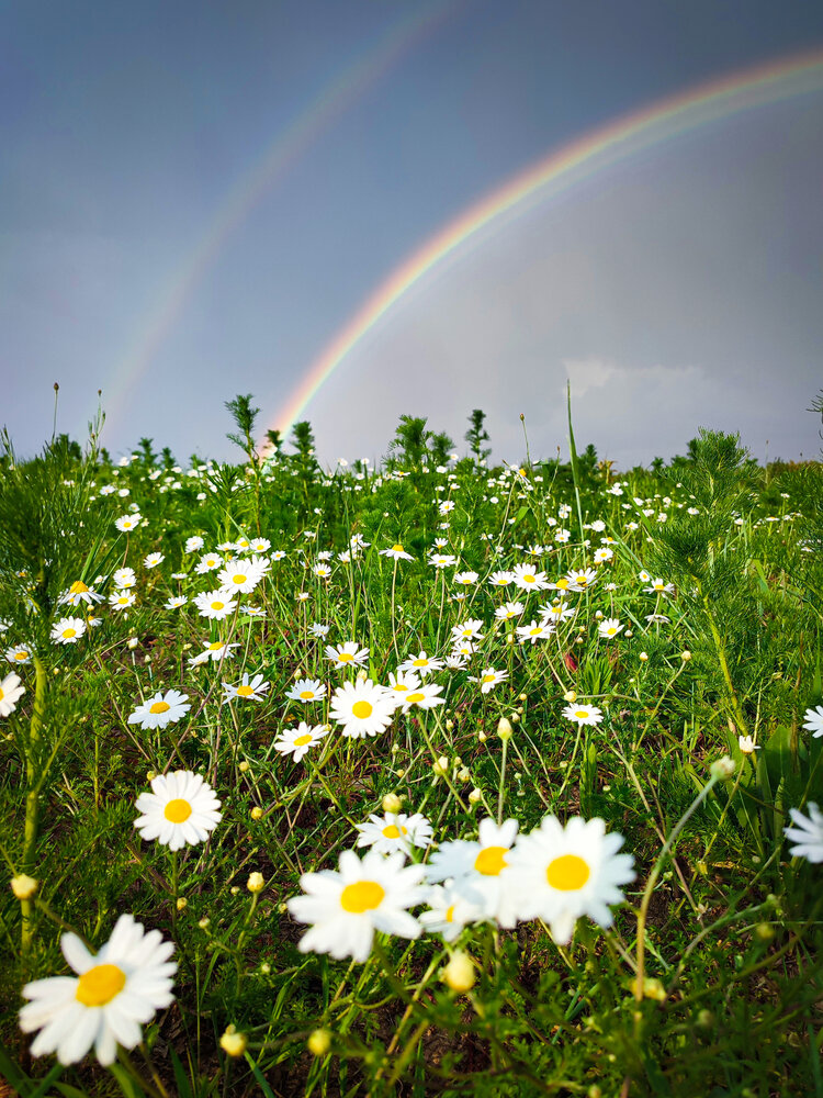 Photograph by Aliaksei Jodko